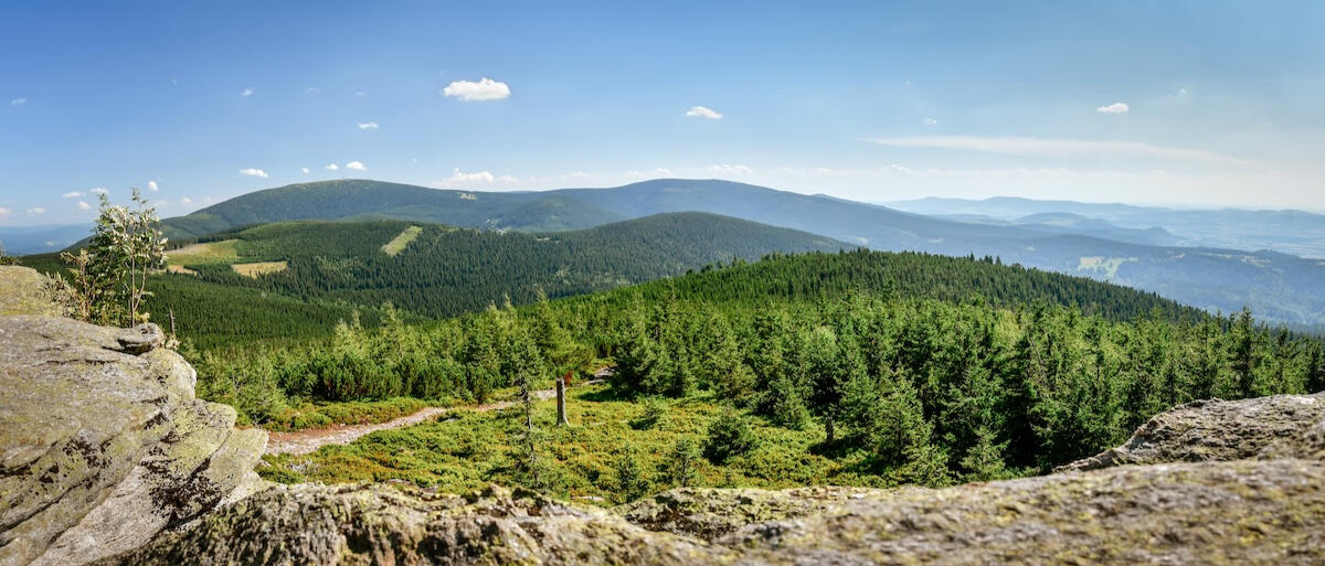 Masyw Śnieżnika: lato